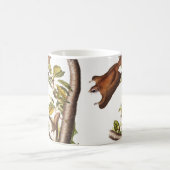 Mug Écureuil volant de l'Oregon (Pteromys Origonensis) (Centre)