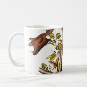 Mug Écureuil volant de l'Oregon (Pteromys Origonensis)