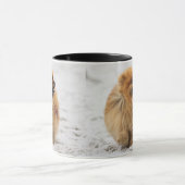 Mug Edgrrrr #3 - Pomeranian (Centre)