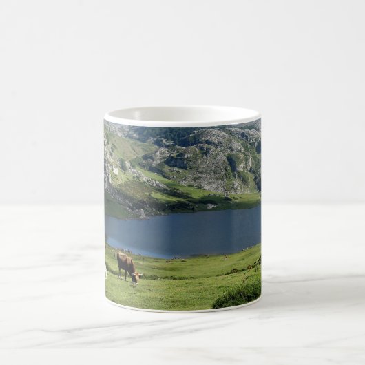 Mug effiloche Lagos de Covadonga dans Asturies, (Centre)