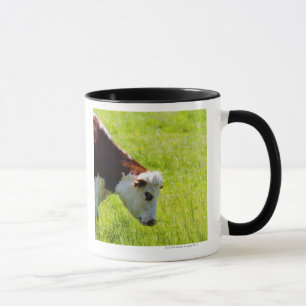 Mug Effrayez le pâturage dans un domaine, le Val de