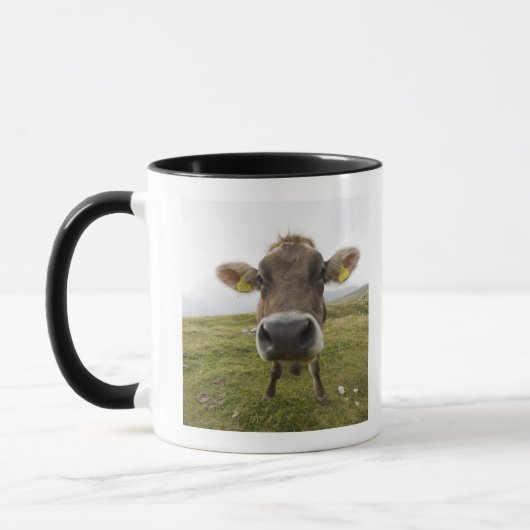Mug Effrayez près de Tre Cime Di Lavaredo dans (Gauche)