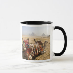 Mug Égypte, Le Caire. Chameaux au repos