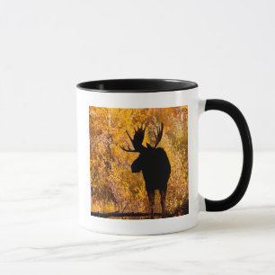 Mug Élan (Alces Alces) Mâle Dans Les Saules Dorés 2