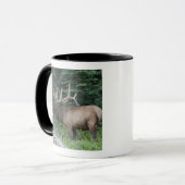 Mug Élan bugling dans le parc national de Banff, Canad (Devant gauche)
