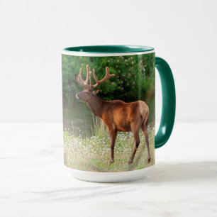 Mug Élan mâle dans le National Bison Range, Montana