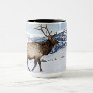 Mug Élan mâle solitaire Parc national de Yellowstone