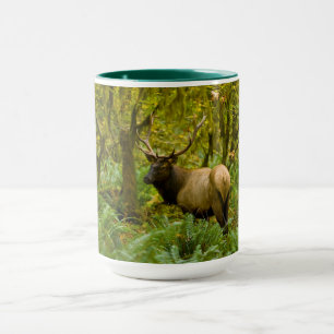 Mug Élan Roosevelt mâle