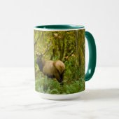 Mug Élan Roosevelt mâle (Devant droit)