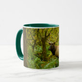 Mug Élan Roosevelt mâle (Devant gauche)