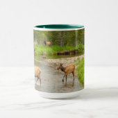 Mug Élan traversant le fleuve Colorado (Centre)