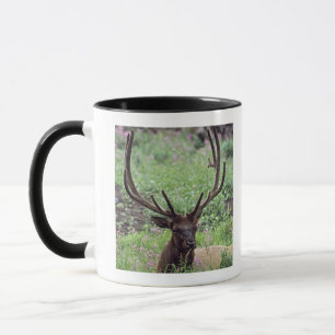Mug Élans de Taureau se reposant dans le pré alpin