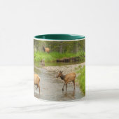 Mug Élans traversant la rivière Colorado (Centre)