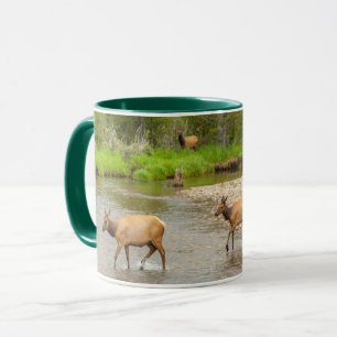 Mug Élans traversant la rivière Colorado