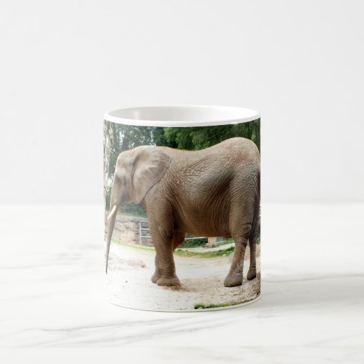 Mug éléphant africain (Centre)