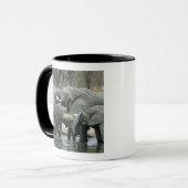 Mug Eléphant africain, (Loxodonta africana), boire (Devant gauche)