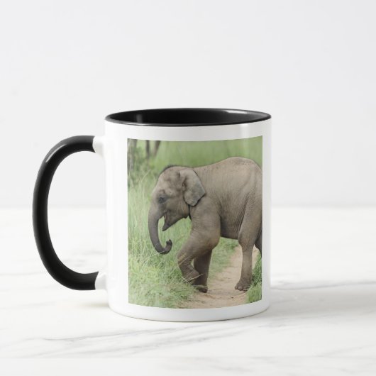 Mug Éléphant bébé suivant sa mère, Corbett (Gauche)