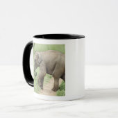 Mug Éléphant bébé suivant sa mère, Corbett (Devant gauche)