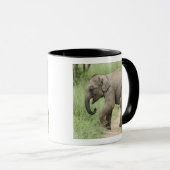 Mug Éléphant bébé suivant sa mère, Corbett (Devant droit)