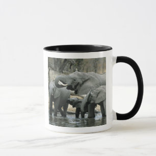 Mug Éléphant d'Afrique, (Loxodonta africana), buvant