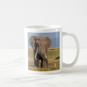 Mug Éléphant en recherche