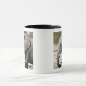Mug Elephant (Loxodonta africana), Savute Channel (Centre)