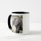 Mug Elephant (Loxodonta africana), Savute Channel (Devant gauche)