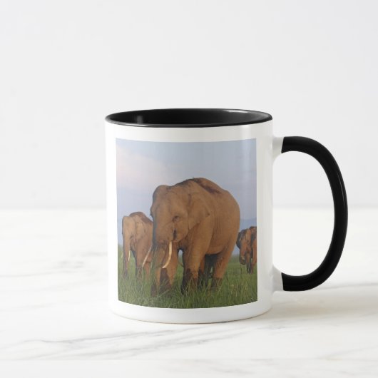 Mug Éléphants indiens dans la prairie (Droite)