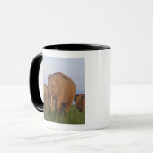Mug Éléphants indiens dans la prairie (Devant gauche)