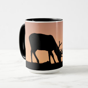 Mug Elk   Parc national des montagnes Rocheuses, Color