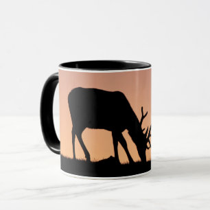 Mug Elk Parc national des Rocheuses, Colorado