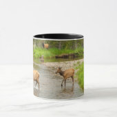 Mug Elks traversant le fleuve Colorado (Centre)