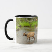 Mug Elks traversant le fleuve Colorado (Gauche)