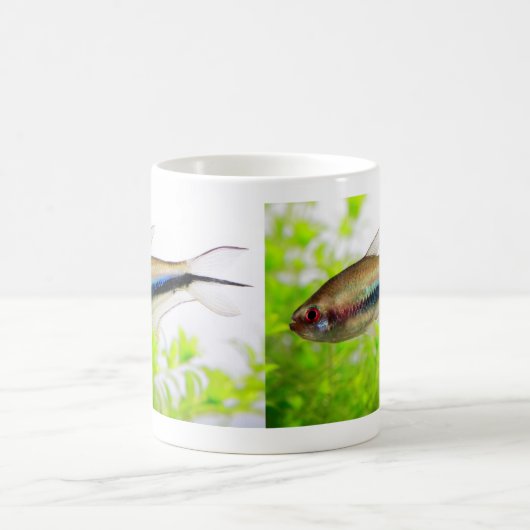 Mug Emperor tetra (Centre)
