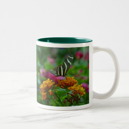 mug en céramique bicolore papillon (Droit)