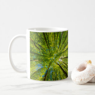 Mug En regardant à travers les feuilles d'arbres verts