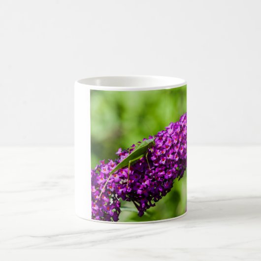 Mug énergie katydone (Centre)