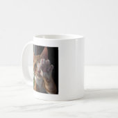 Mug entretien à la patte (Devant gauche)