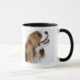 Mug Épagneul cavalier du Roi Charles, vue de côté
