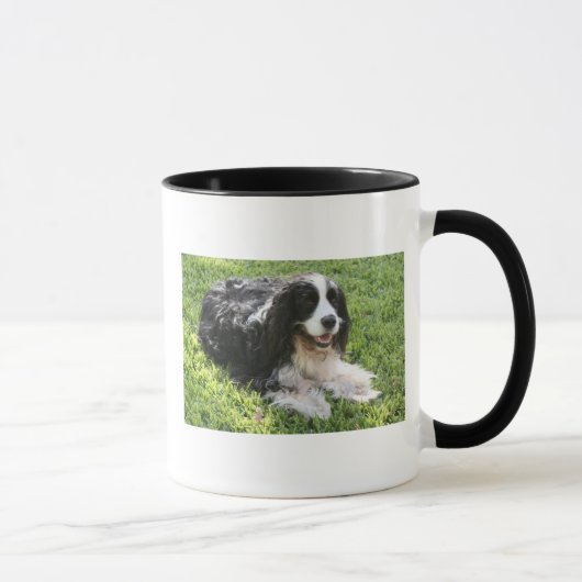 Mug Épagneul de springer anglais (Droite)