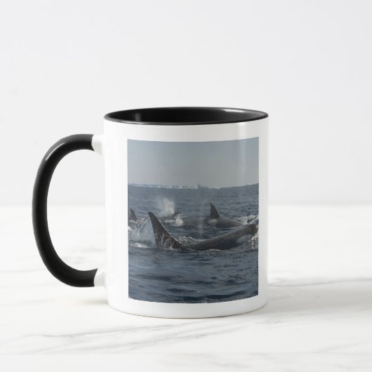 Mug épaulard (Gauche)