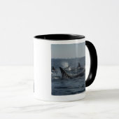 Mug épaulard (Devant droit)