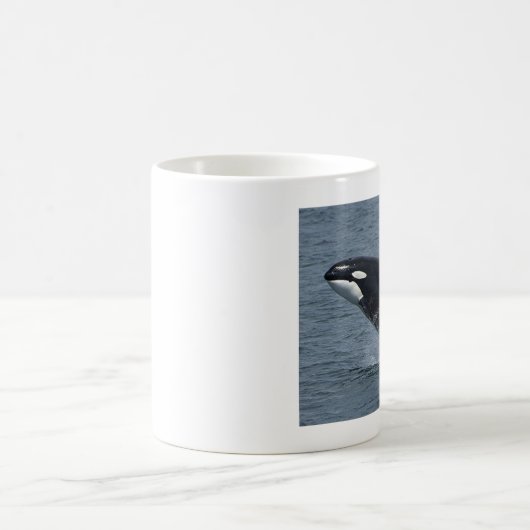 Mug épaulards (Centre)