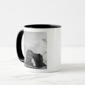 Mug Equateur, îles Galapagos, île Darwin, vagues (Devant gauche)