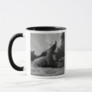 Mug Equateur, Parc national des Îles Galapagos, Père N