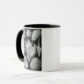 MUG ERNST HAECKEL (Devant gauche)