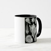 MUG ERNST HAECKEL (Devant droit)