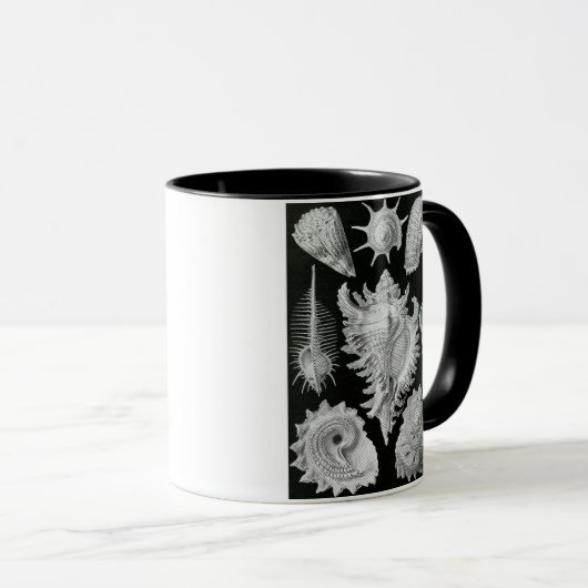 MUG ERNST HAECKEL (Devant droit)
