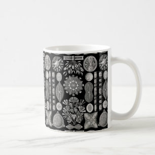Mug Ernst Haeckel Diatomea