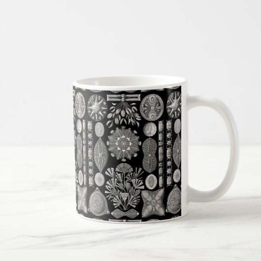 Mug Ernst Haeckel Diatomea (Droite)